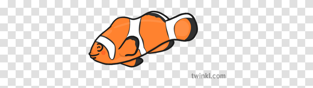 Clown Fish New Copy Illustration Twinkl Banana Illustration Black And White, Sunglasses, Animal, Food, Hand Transparent Png