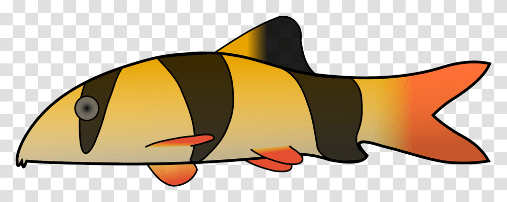 Clown Loach Clipart, Weapon, Weaponry, Animal, Bomb Transparent Png