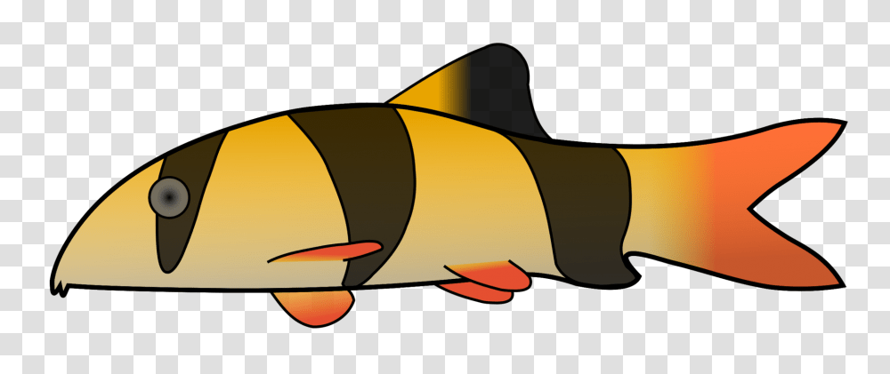 Clown Loach Drawing Pond Loach True Loaches, Fish, Animal, Sea Life, Rock Beauty Transparent Png