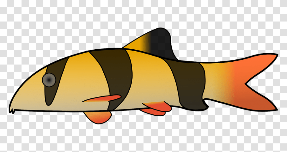 Clownfish Anglerfish Clip Art, Animal, Sea Life, Amphiprion, Weapon Transparent Png