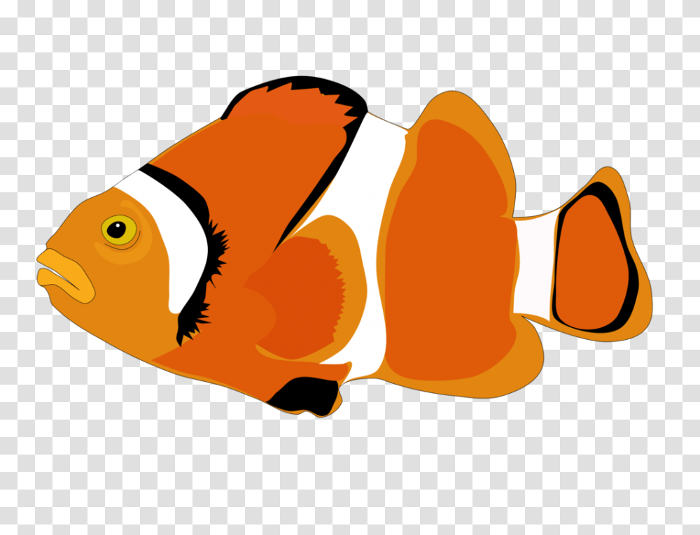 Clownfish Cartoon Computer Icons, Animal, Food, Amphiprion, Sea Life Transparent Png