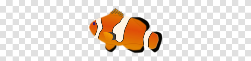 Clownfish Clip Art, Animal, Amphiprion, Sea Life, Goldfish Transparent Png
