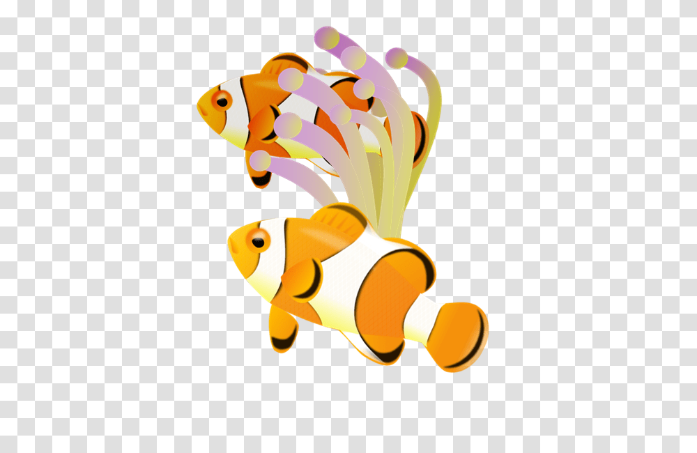 Clownfish Clip Art, Animal, Goldfish, Amphiprion, Sea Life Transparent Png