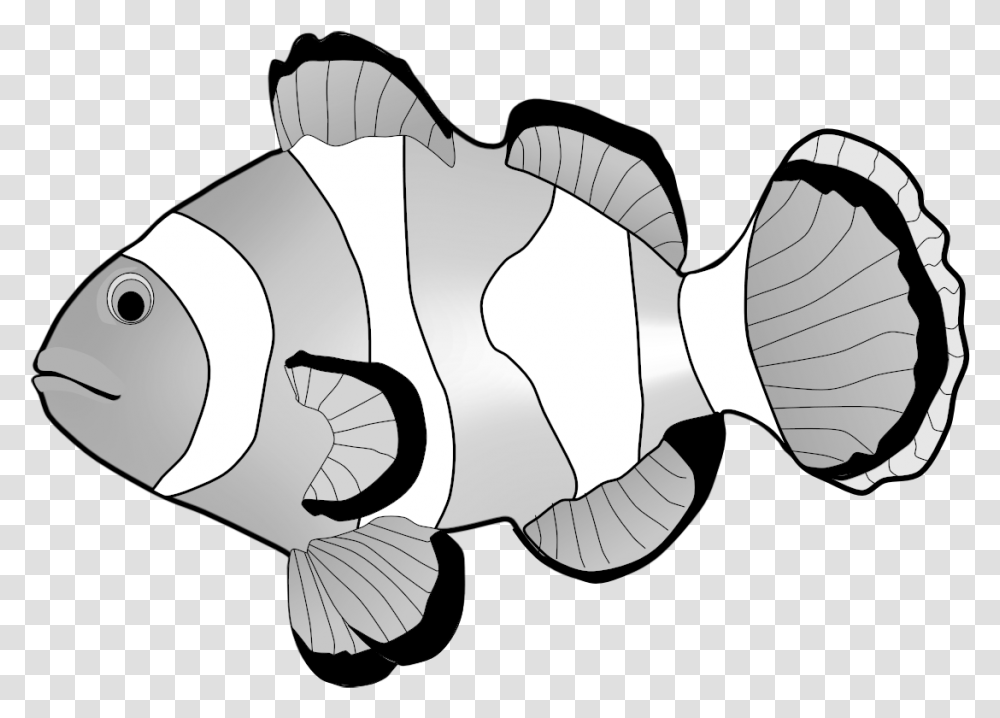 Clownfish Clipart Apple B For Ball C For Cat D, Animal, Sea Life, Axe, Invertebrate Transparent Png
