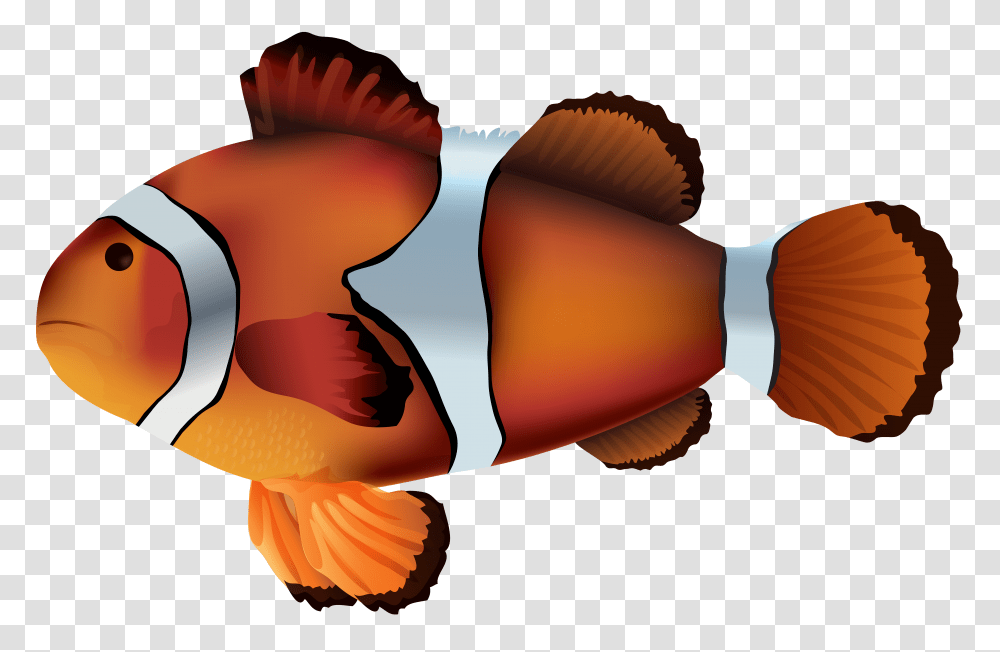 Clownfish Clipart Fish, Goldfish, Animal, Photography Transparent Png