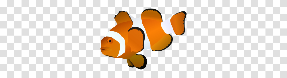 Clownfish Clipart Orange Objects, Animal, Goldfish, Amphiprion, Sea Life Transparent Png