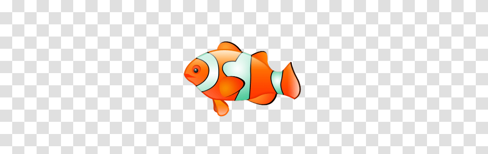 Clownfish Cliparts, Animal, Amphiprion, Sea Life, Goldfish Transparent Png