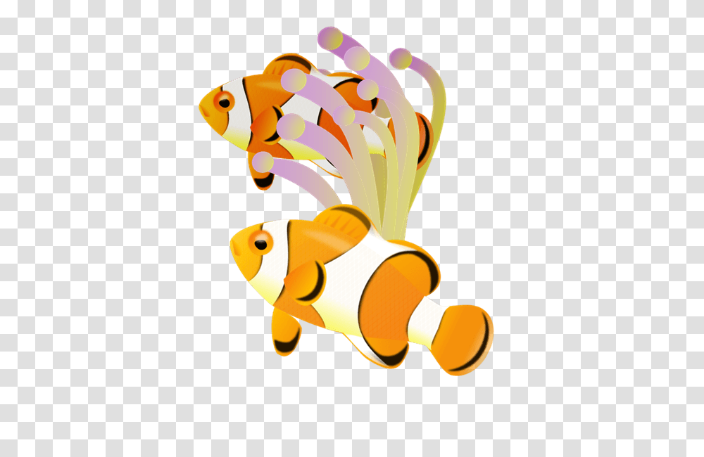 Clownfish Cliparts, Animal, Goldfish, Amphiprion, Sea Life Transparent Png