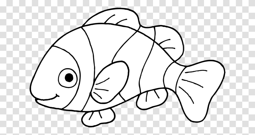 Clownfish Clown Fish Outline Clipart Wikiclipart, Animal, Aquatic, Water, Drawing Transparent Png