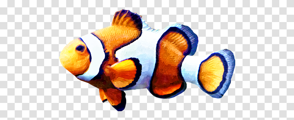 Clownfish Cutout Greeting Card For Sale Ocellaris Clownfish, Animal, Goldfish, Amphiprion, Sea Life Transparent Png