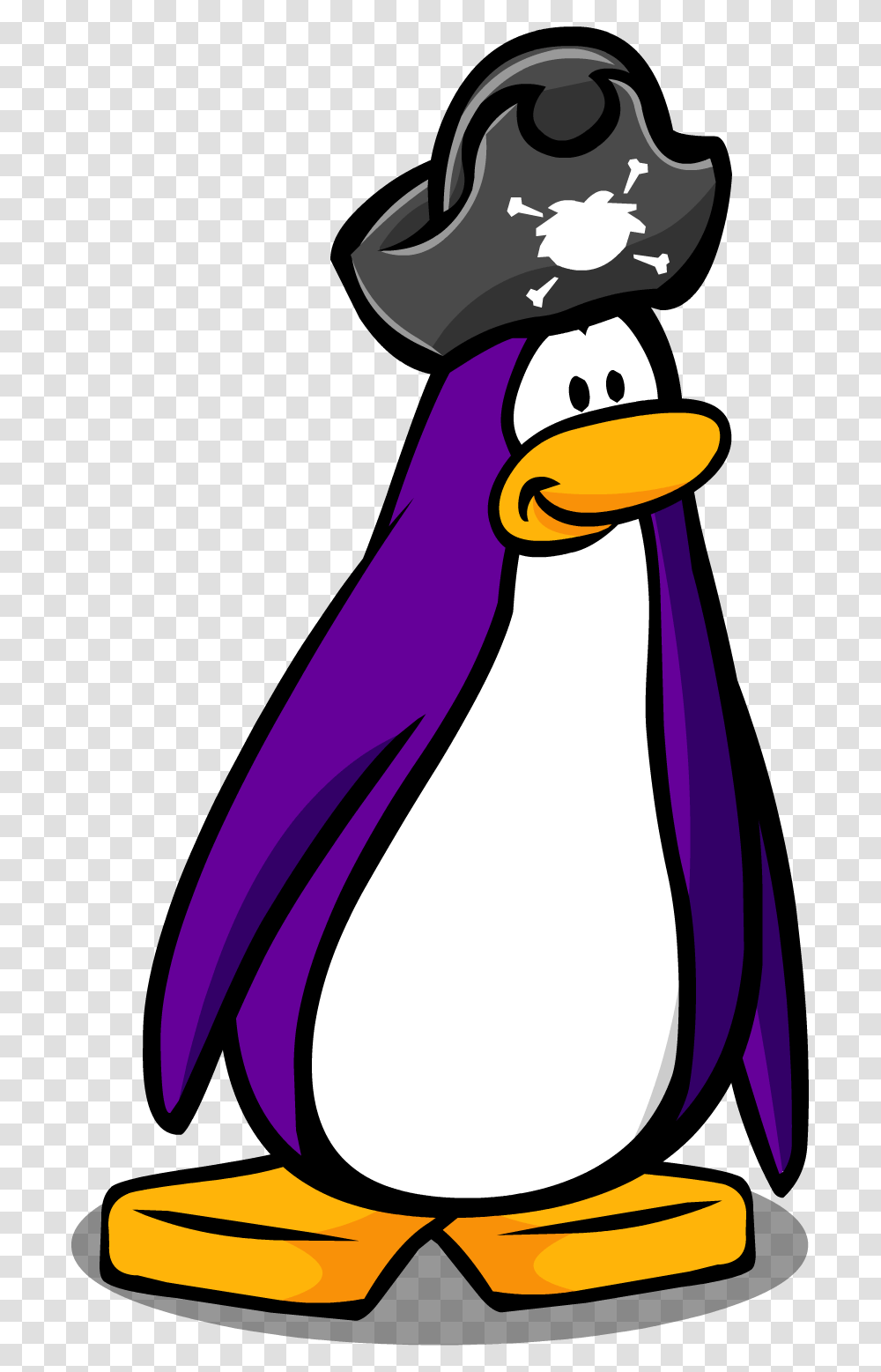Club Penguin Wiki Pirate Hat Club Penguin Item, Bird, Animal, Tie, Accessories Transparent Png