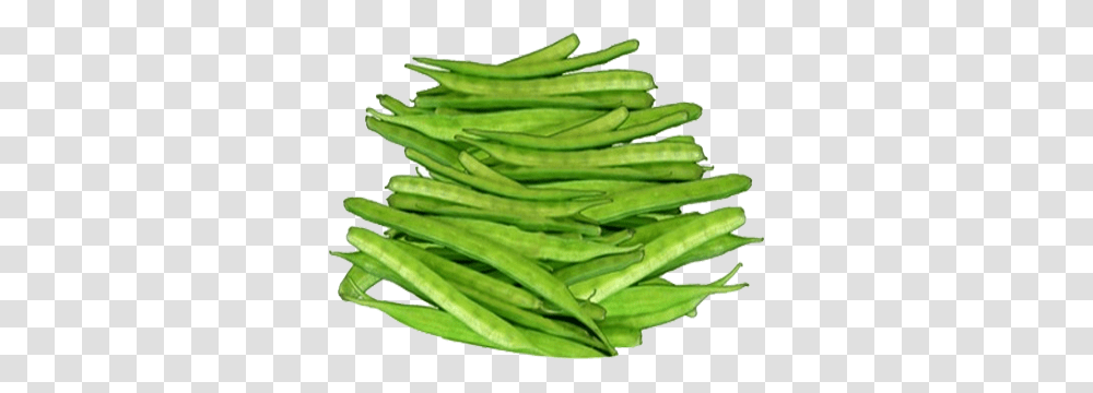 Cluster Beans, Plant, Produce, Food, Vegetable Transparent Png