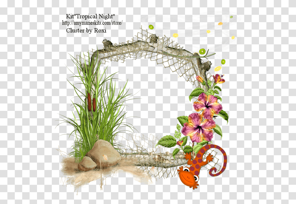 Cluster Frames Below Tropical Cluster Frames, Plant, Flower, Flower Arrangement, Ornament Transparent Png