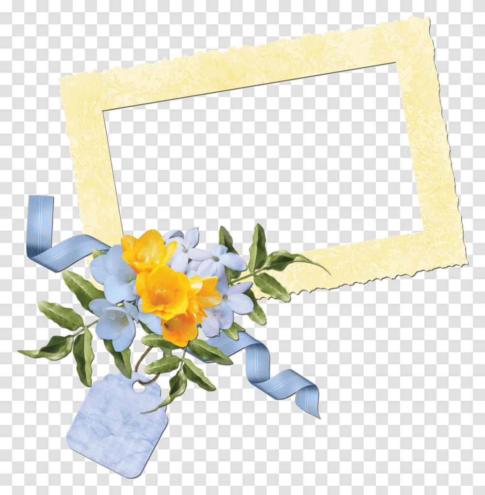 Cluster Frames Evergreen Rose, Plant, Flower Transparent Png