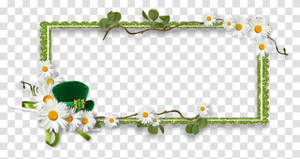 Cluster Frames, Plant, Flower, Blossom, Daisy Transparent Png