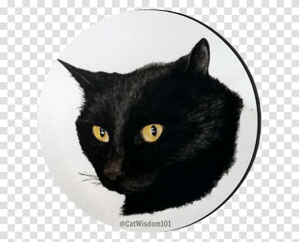 Clyde Cat Art Watercolor Black Cat, Pet, Mammal, Animal Transparent Png