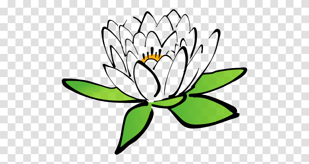 Cmc Quest Clip Art, Plant, Flower, Pond Lily, Pattern Transparent Png