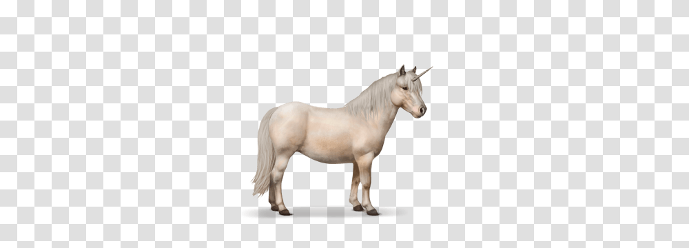 Cml, Fantasy, Horse, Mammal, Animal Transparent Png