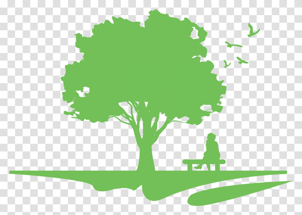 Cms Logo With No Text Jan A Lice, Tree, Plant Transparent Png