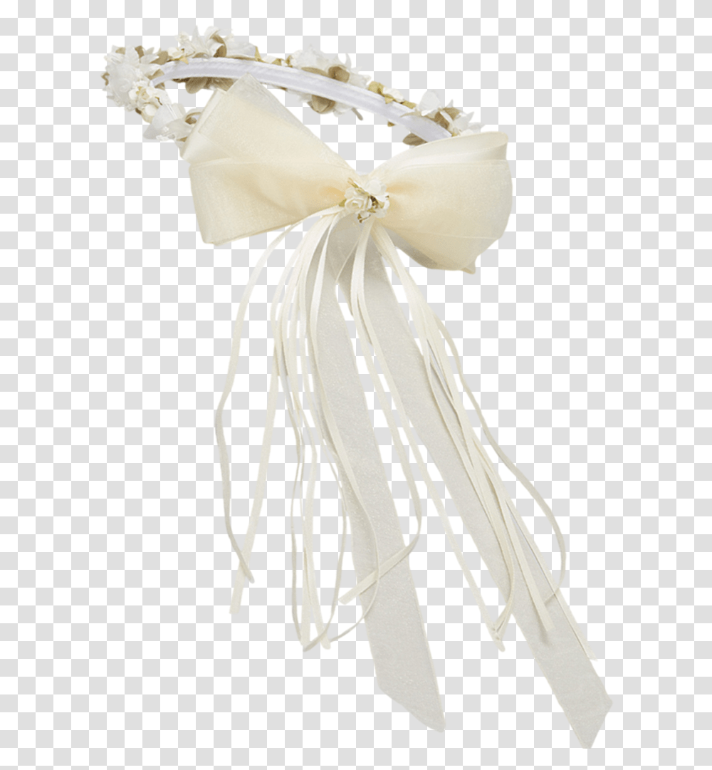 Cnidaria, Plant, Flower, Blossom, Cushion Transparent Png