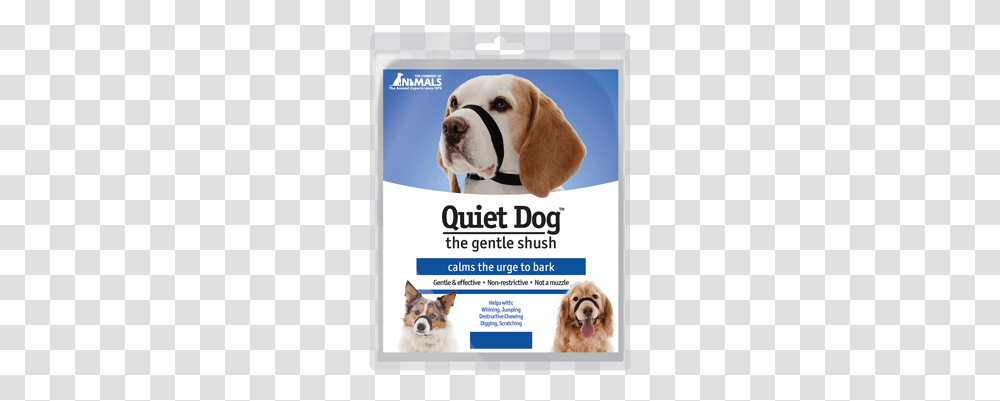 Coa Quiet Dog, Poster, Advertisement, Flyer, Paper Transparent Png
