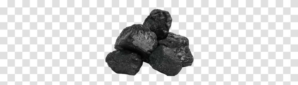 Coal, Mineral, Fungus, Rock, Anthracite Transparent Png