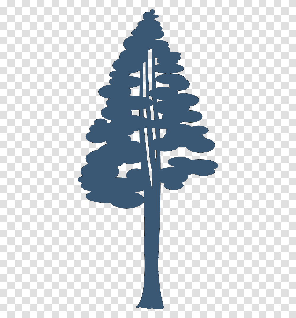 Coast Redwood Giant Sequoia Drawing Giant Sequoia, Tree, Plant, Cross, Symbol Transparent Png