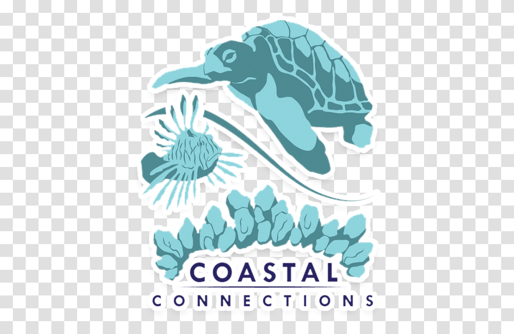Coastal Connections Vero Beach, Sea Life, Animal, Mammal, Dolphin Transparent Png