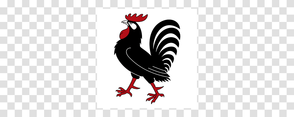 Coat Of Arms Fowl, Bird, Animal, Poultry Transparent Png