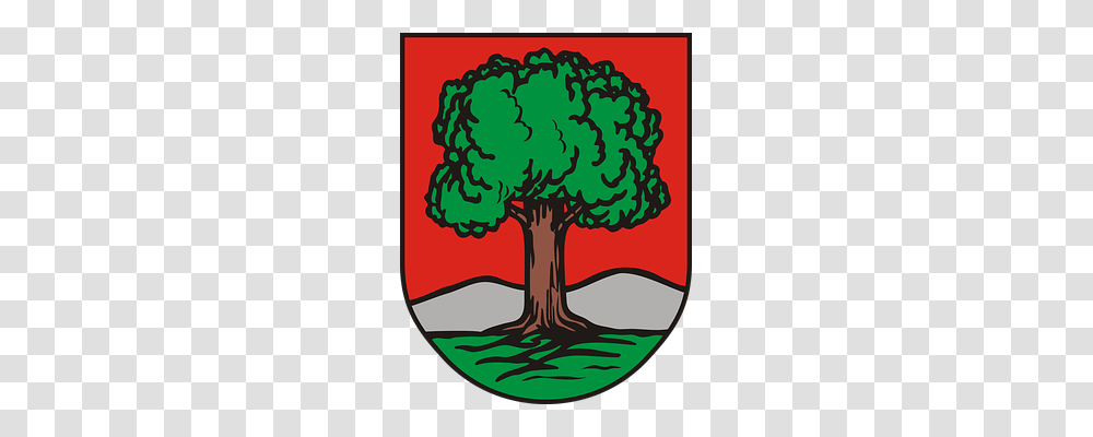 Coat Of Arms Armor, Shield, Tree, Plant Transparent Png