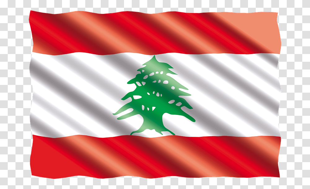 Coat Of Arms Of Lebanon, Flag, Tree, Plant Transparent Png