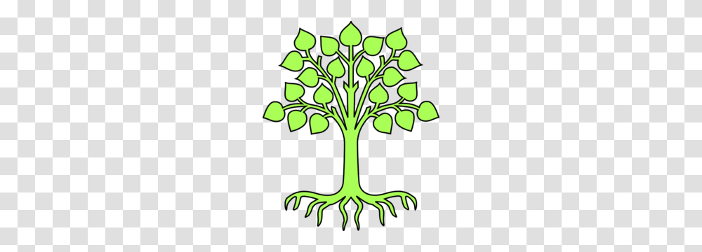 Coat Of Arms Tree Without Shield Clip Art, Plant, Root, Food, Vegetable Transparent Png