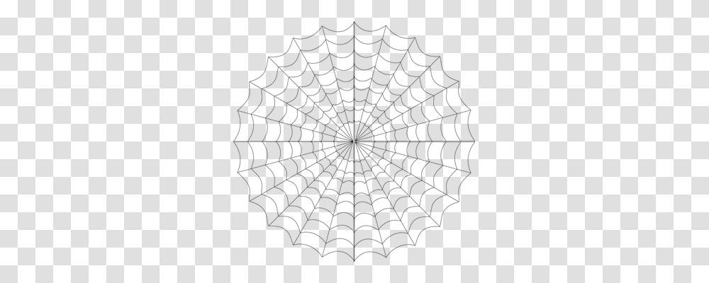 Cob Web Animals, Spider Web Transparent Png