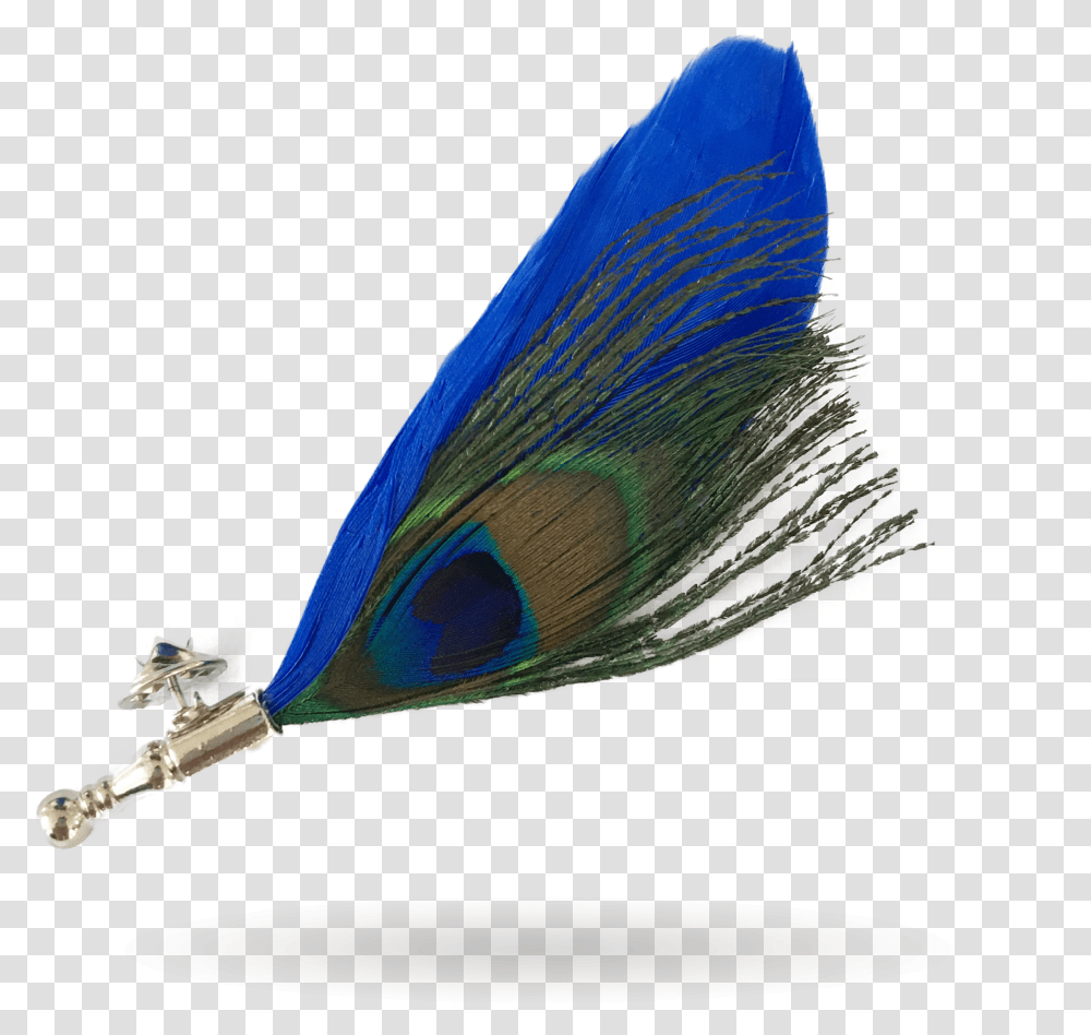 Cobalt Blue, Animal, Invertebrate, Insect, Bird Transparent Png