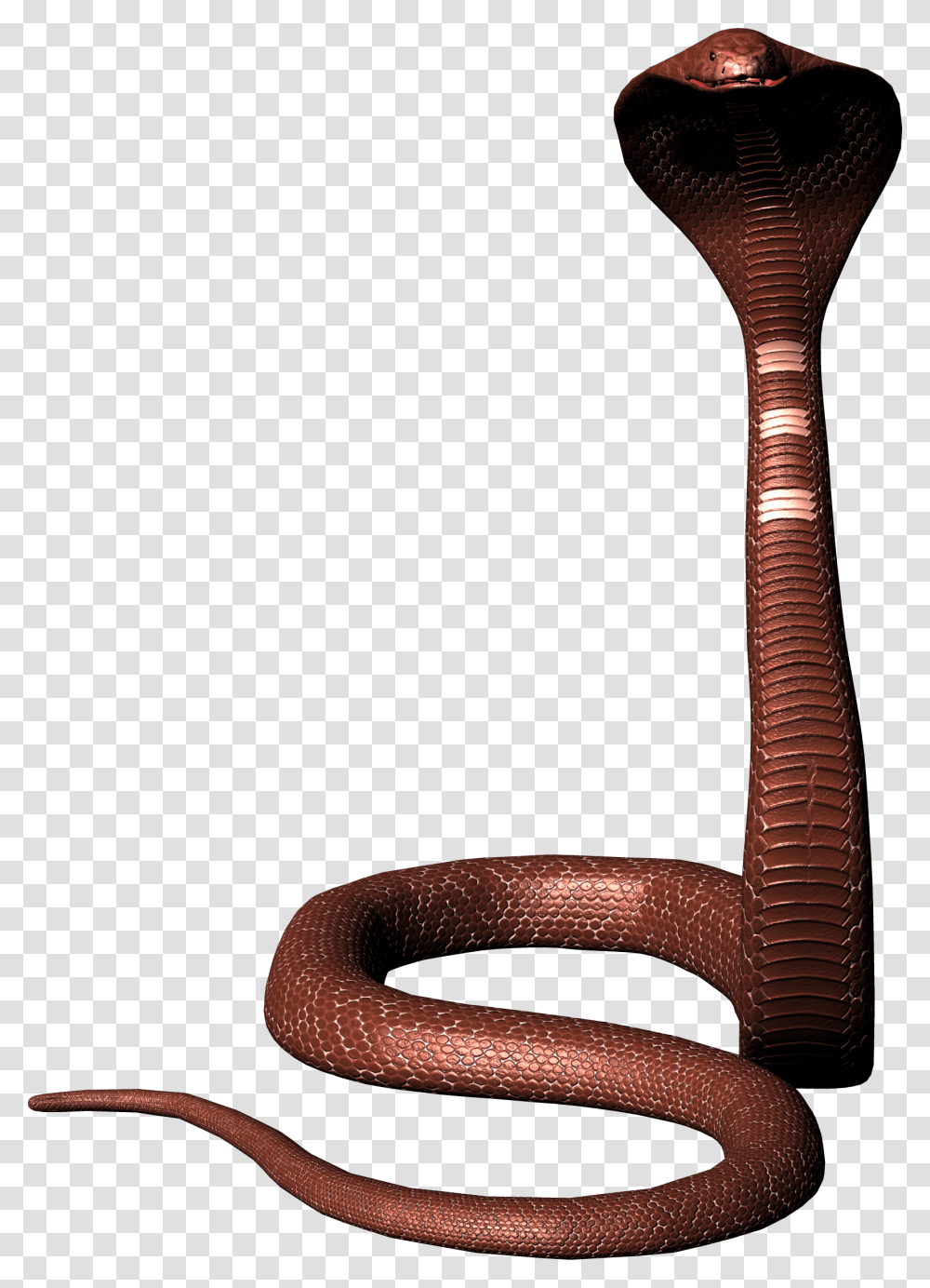 Cobra, Animals, Hammer, Tool, Bronze Transparent Png