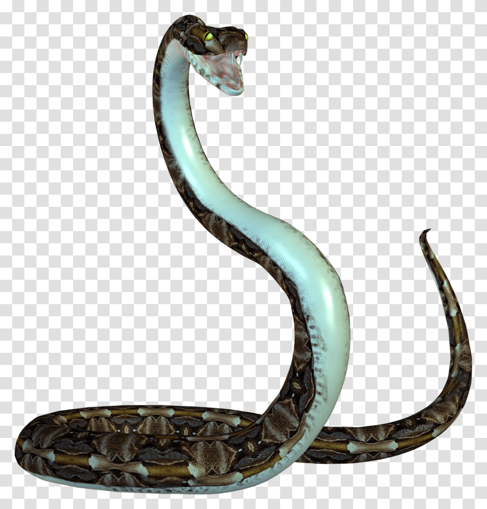 Cobra, Animals, Reptile, Snake, Anaconda Transparent Png