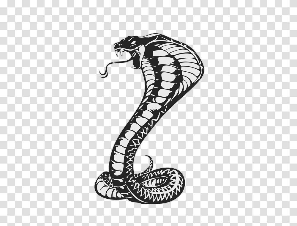 Cobra, Animals, Reptile, Snake Transparent Png