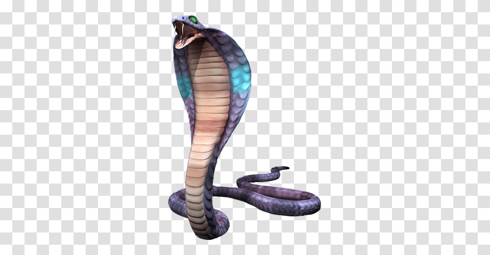 Cobra, Animals, Snake, Reptile, Person Transparent Png