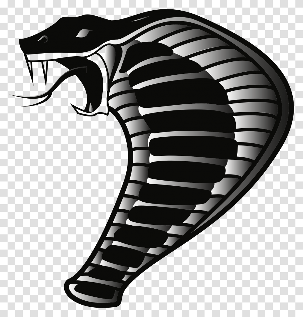 Cobra, Animals, X-Ray, Medical Imaging X-Ray Film, Ct Scan Transparent Png