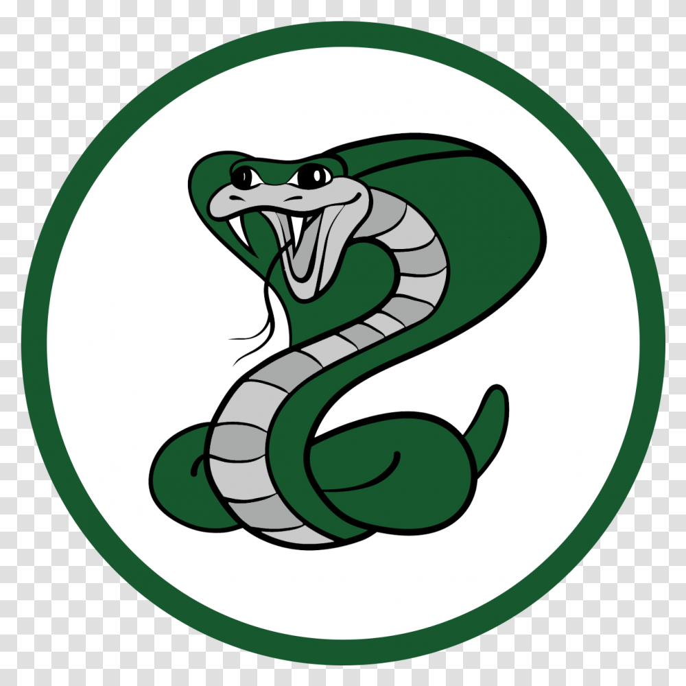 Cobra Clip Nautic Castillero Middle School San Jose Logo, Animal, Snake, Reptile, Painting Transparent Png