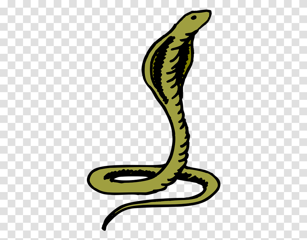 Cobra Cobra Head, Reptile, Animal, Snake, Bird Transparent Png