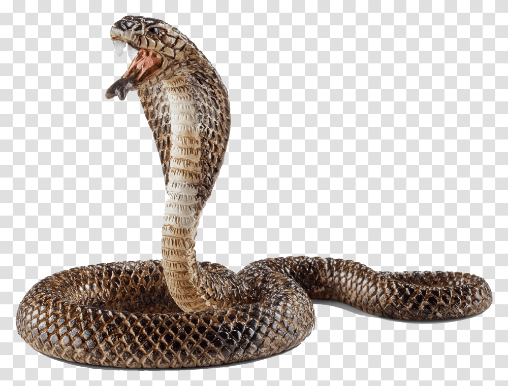 Cobra Free Pic Snake Rearing Up, Reptile, Animal Transparent Png
