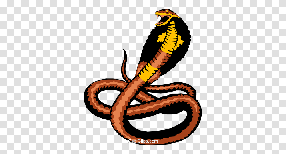 Cobra Royalty Free Vector Clip Art Illustration, Animal, Bird, Snake, Reptile Transparent Png