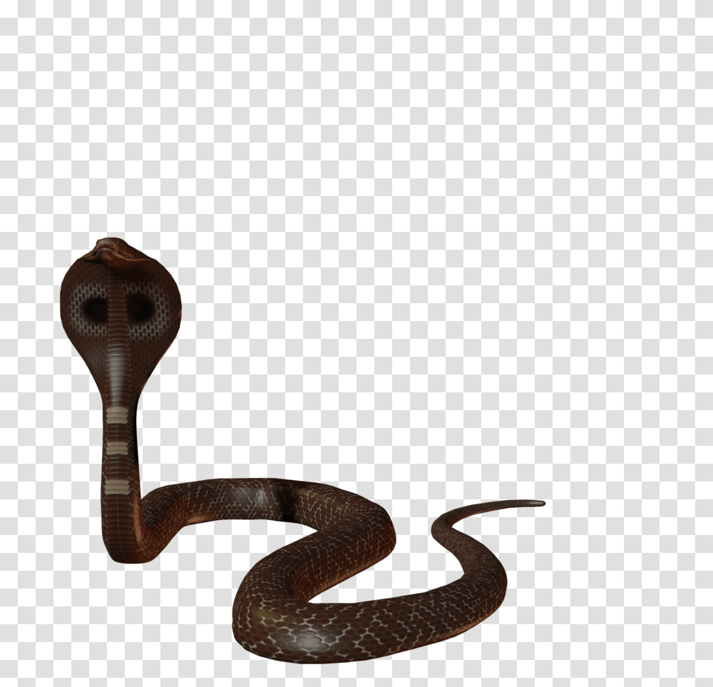 Cobra Snake Images Free Download, Reptile, Animal, Smoke Pipe Transparent Png