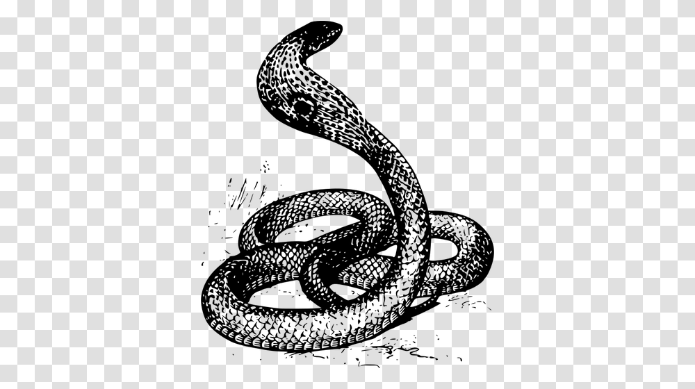 Cobra Snake Vector Clip Art Black Amp White Cobra, Gray Transparent Png