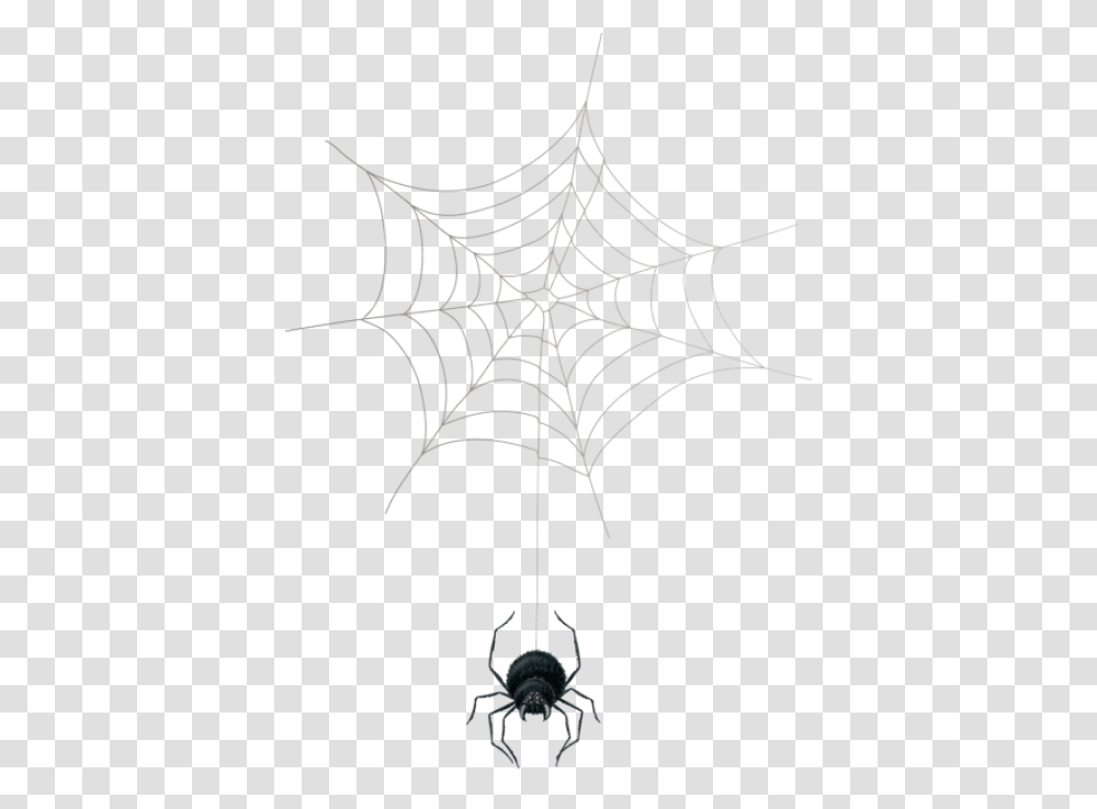 Cobweb Clipart Spider Web Transparent Png
