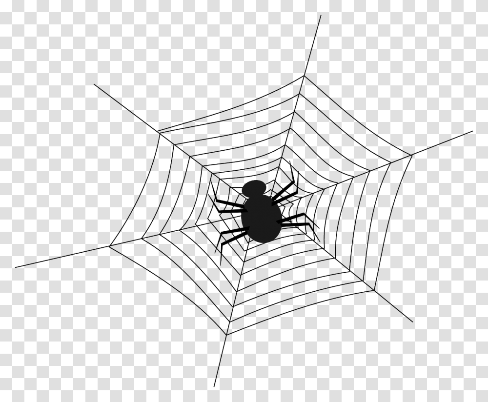 Cobweb Spider Spiderweb Free Photo Spider In The Web, Bird, Animal, Spider Web Transparent Png