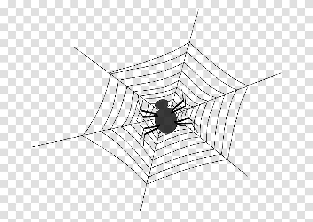 Cobweb Spider Spiderweb Spider S Web Web Net Spider Web With Spider Outlines, Bird, Animal, Rug Transparent Png