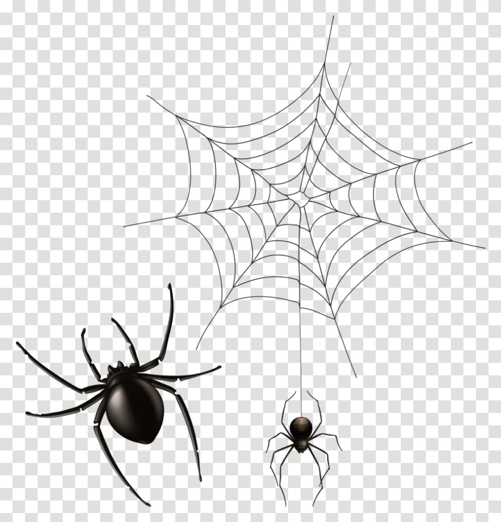 Cobwebs Background Spider Web Transparent Png