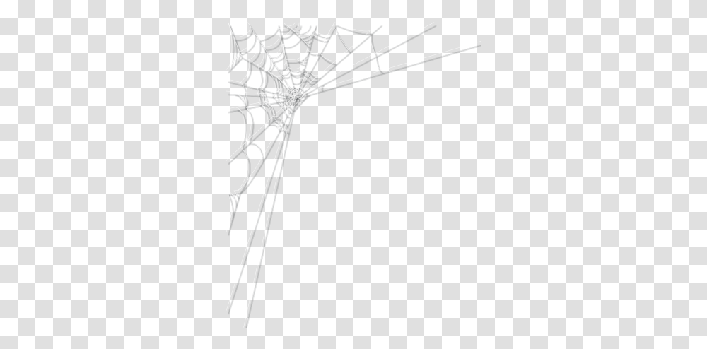 Cobwebs Real Clipart Spider Web Transparent Png